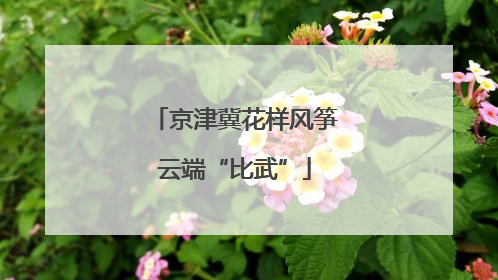 京津冀花样风筝云端“比武”