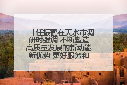 任振鹤在天水市调研时强调 不断塑造高质量发展的新动能新优势 更好服务和融入以国内大循环为主体的新发展格局