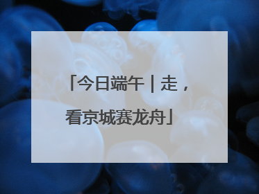 今日端午｜走，看京城赛龙舟