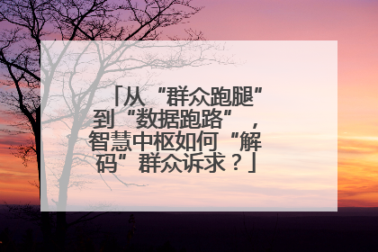 从“群众跑腿”到“数据跑路”，智慧中枢如何“解码”群众诉求？