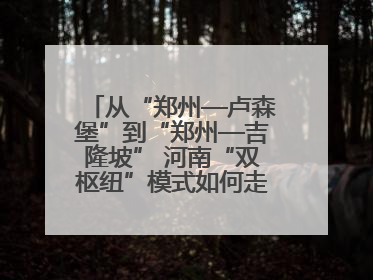 从“郑州—卢森堡”到“郑州—吉隆坡” 河南“双枢纽”模式如何走向全球