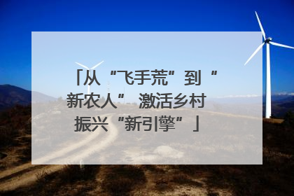 从“飞手荒”到“新农人” 激活乡村振兴“新引擎”