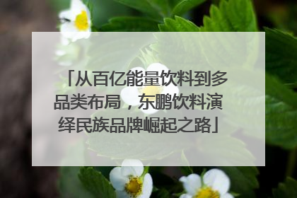 从百亿能量饮料到多品类布局，东鹏饮料演绎民族品牌崛起之路