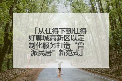 从住得下到住得好聊城高新区以定制化服务打造“鲁派民居”新范式