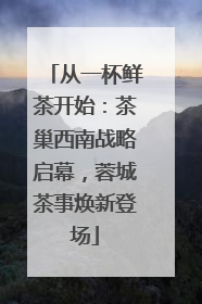 从一杯鲜茶开始：茶巢西南战略启幕，蓉城茶事焕新登场