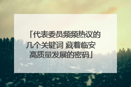 代表委员频频热议的几个关键词 藏着临安高质量发展的密码