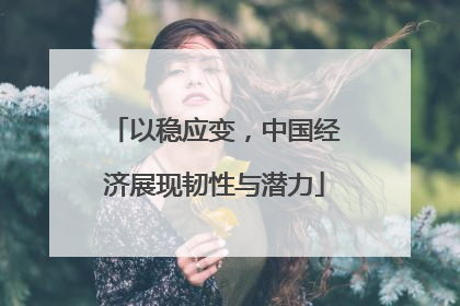 以稳应变，中国经济展现韧性与潜力