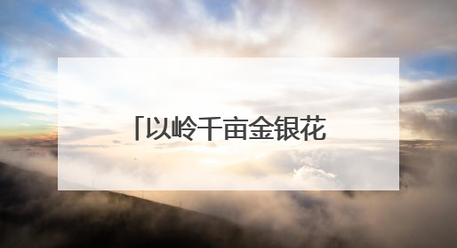 以岭千亩金银花田丰收景：中医药产业助力乡村振兴的生动写照