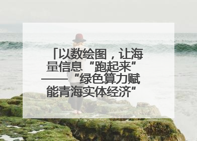 以数绘图，让海量信息“跑起来”——“绿色算力赋能青海实体经济”系列报道①