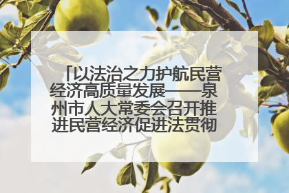 以法治之力护航民营经济高质量发展——泉州市人大常委会召开推进民营经济促进法贯彻实施座谈会