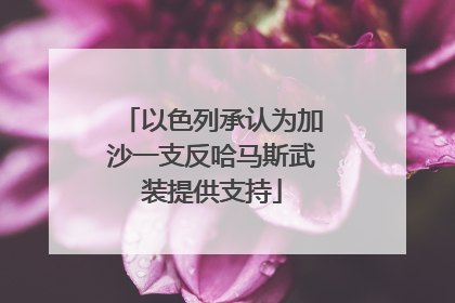 以色列承认为加沙一支反哈马斯武装提供支持