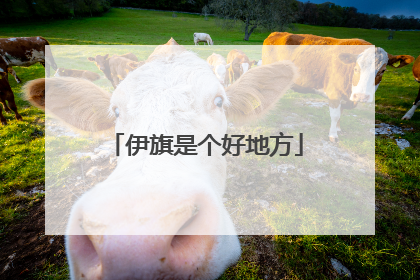 伊旗是个好地方