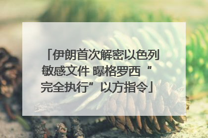 伊朗首次解密以色列敏感文件 曝格罗西“完全执行”以方指令