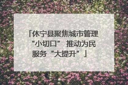 休宁县聚焦城市管理“小切口” 推动为民服务“大提升”