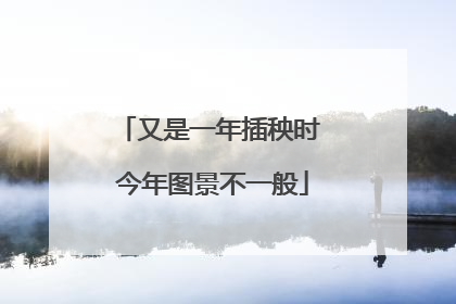 又是一年插秧时 今年图景不一般