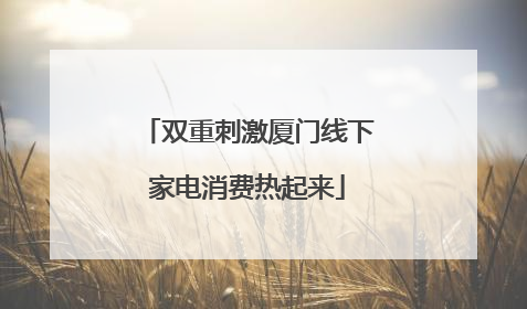 双重刺激厦门线下家电消费热起来