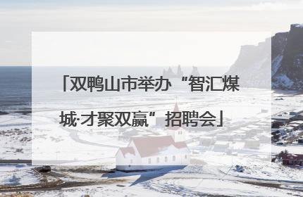 双鸭山市举办“智汇煤城·才聚双赢”招聘会