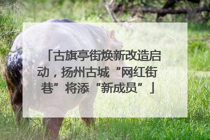 古旗亭街焕新改造启动，扬州古城“网红街巷”将添“新成员”