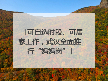 可自选时段、可居家工作，武汉全面推行“妈妈岗”
