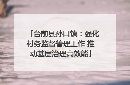台前县孙口镇：强化村务监督管理工作 推动基层治理高效能