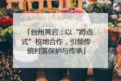 台州黄岩：以“蹲点式”校地合作，引领传统村落保护与传承