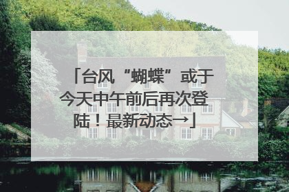 台风“蝴蝶”或于今天中午前后再次登陆！最新动态→