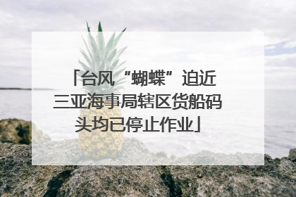 台风“蝴蝶”迫近 三亚海事局辖区货船码头均已停止作业