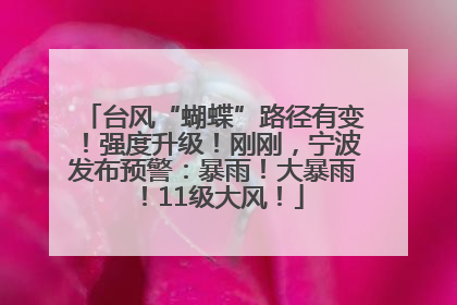 台风“蝴蝶”路径有变！强度升级！刚刚，宁波发布预警：暴雨！大暴雨！11级大风！