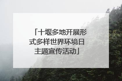 十堰多地开展形式多样世界环境日主题宣传活动