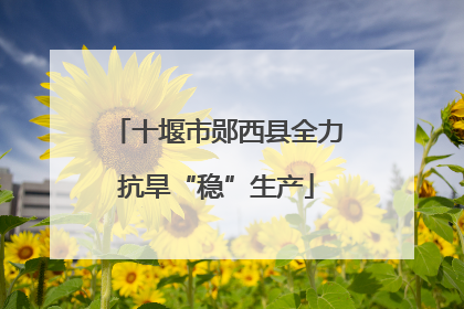 十堰市郧西县全力抗旱“稳”生产