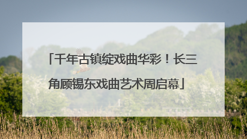 千年古镇绽戏曲华彩！长三角顾锡东戏曲艺术周启幕