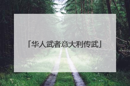 华人武者意大利传武