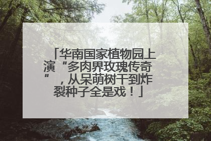 华南国家植物园上演“多肉界玫瑰传奇”，从呆萌树干到炸裂种子全是戏！