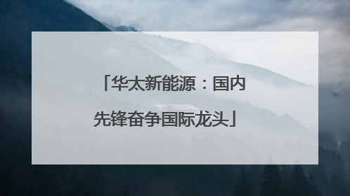 华太新能源：国内先锋奋争国际龙头