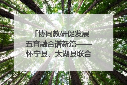 协同教研促发展 五育融合谱新篇——怀宁县、太湖县联合教研活动在月山镇中心学校成功举办