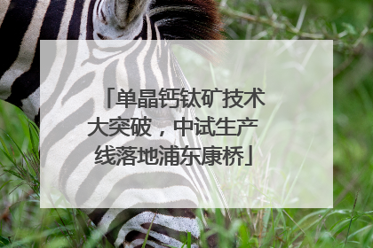 单晶钙钛矿技术大突破，中试生产线落地浦东康桥