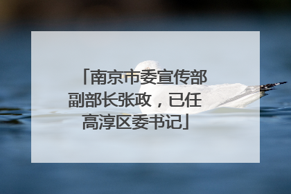 南京市委宣传部副部长张政，已任高淳区委书记