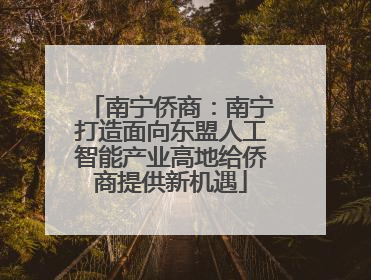 南宁侨商：南宁打造面向东盟人工智能产业高地给侨商提供新机遇