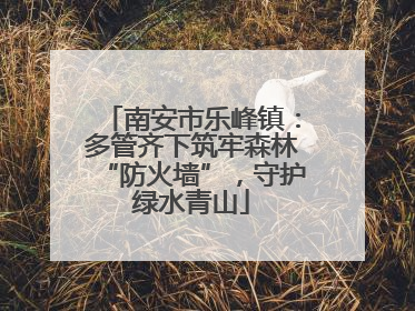 南安市乐峰镇：多管齐下筑牢森林“防火墙”，守护绿水青山