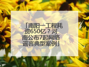 南阳一工程耗资650亿？河南公布7起网络谣言典型案例