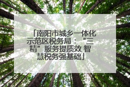 南阳市城乡一体化示范区税务局：“三精”服务提质效 智慧税务强基础