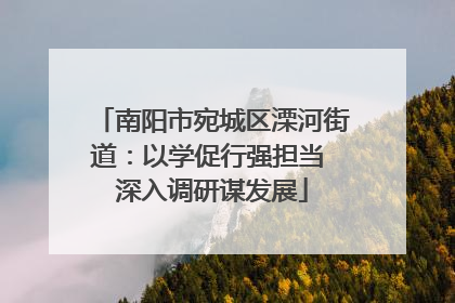 南阳市宛城区溧河街道：以学促行强担当 深入调研谋发展