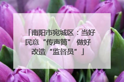 南阳市宛城区：当好民意“传声筒” 做好改造“监督员”