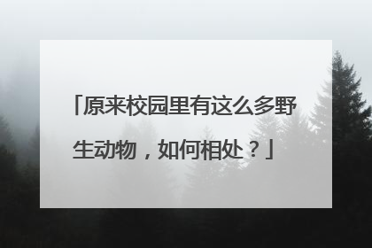 原来校园里有这么多野生动物，如何相处？