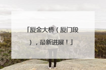 厦金大桥（厦门段），最新进展！