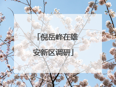 倪岳峰在雄安新区调研