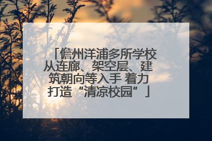 儋州洋浦多所学校从连廊、架空层、建筑朝向等入手 着力打造“清凉校园”