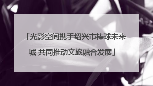 光影空间携手绍兴市棒球未来城 共同推动文旅融合发展