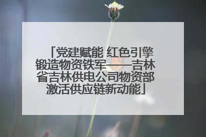 党建赋能 红色引擎锻造物资铁军——吉林省吉林供电公司物资部激活供应链新动能