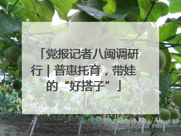 党报记者八闽调研行｜普惠托育，带娃的“好搭子”